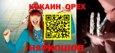 шишки Аргун