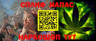 шишки Аргун