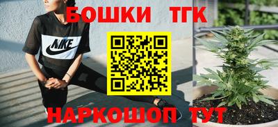 шишки Аргун