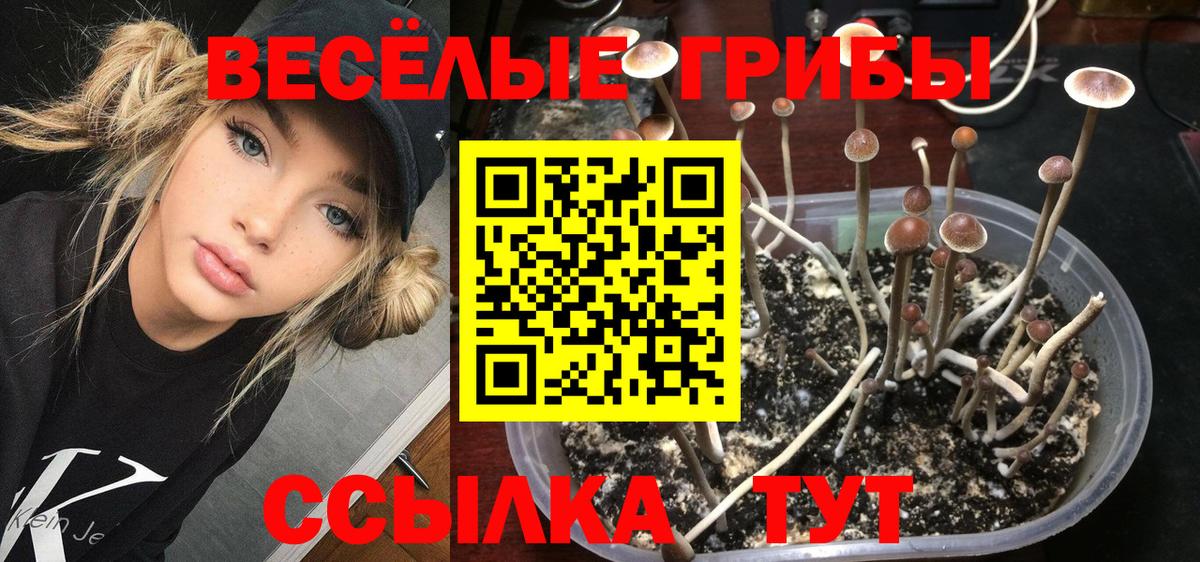 Псилоцибиновые грибы Magic Shrooms  Псилоцибиновые грибы мухоморы  Вход с VPN  Артём 