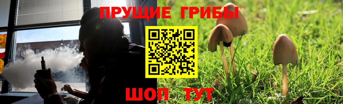 Псилоцибиновые грибы Psilocybine cubensis Артём